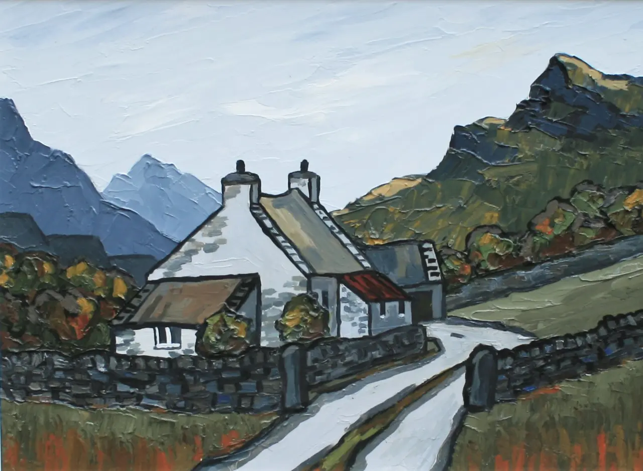 David Barnes - carneddau farm
